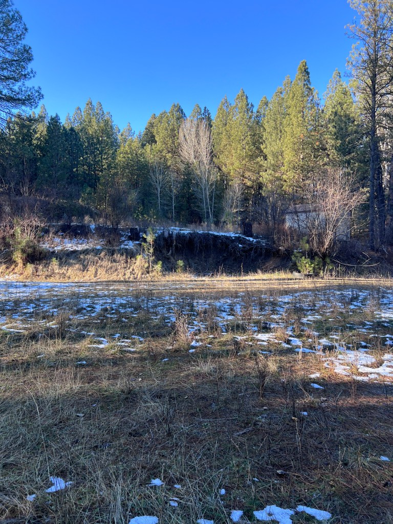 stoddard construction custom mountain builder